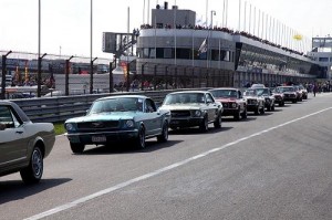 mustangs