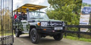 Toyota Land Cruiser 70 ultieme safariauto voor Beekse Bergen